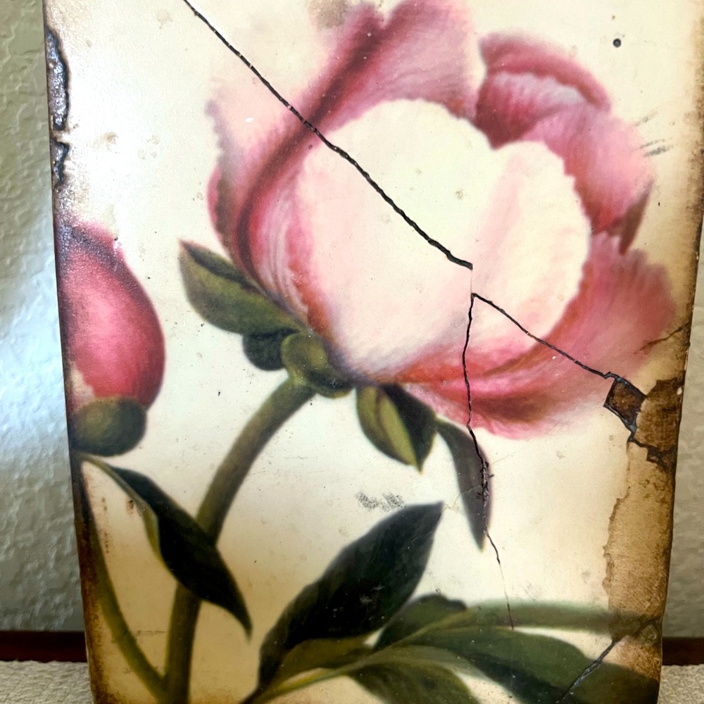 Sid dickens Block Tile T-148 Mystic Bloom